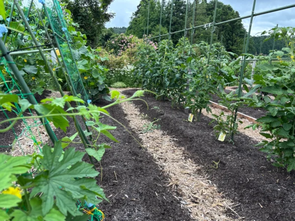 ノーディグ農法の見本園（新潟県）