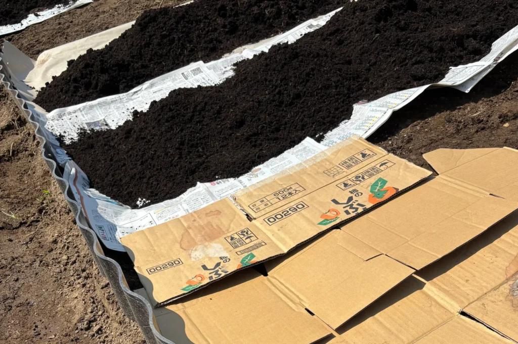 ノーディグ農法の始め方① 雑草を取り除かず、上から段ボールを敷きます