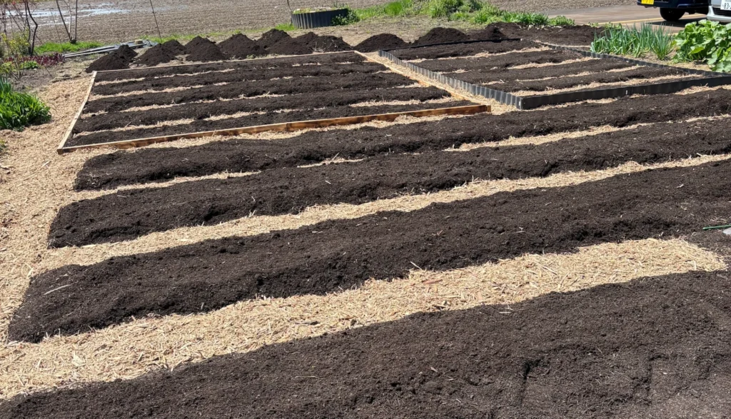 ノーディグ農法の始め方② 堆肥を5～10cm程度の厚さで均等に敷きます