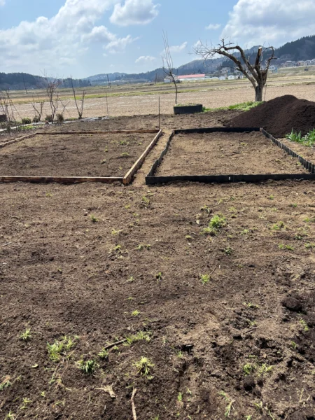 ステップ1:ノーディグ菜園を作る場所と広さを決める