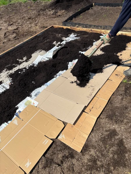 ステップ2:段ボールを敷く