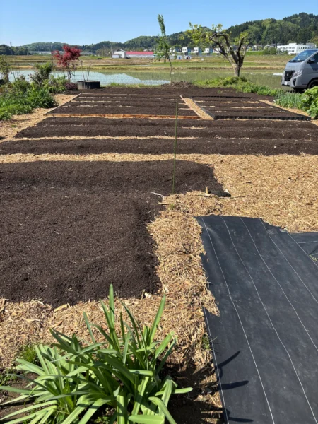 ステップ3:段ボールの上に堆肥を載せる